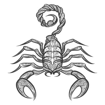 Vector scorpion zentangle. Hand drawn scorpion with floral ornament. Vector icon