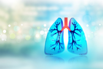 Human lungs