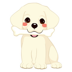 Cute dog puppy labrador holding big bone with mouth