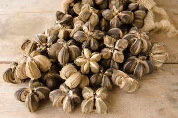 sacha inchi seeds
