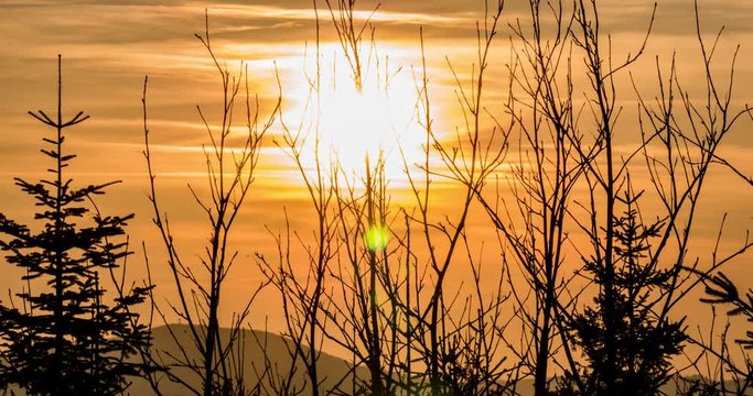 Timelapse of a sunset behind branshes during winter. This is 4k.