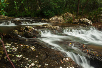 Fototapeta premium Goomoolahra creek at Springbrook National Park in Queensland.