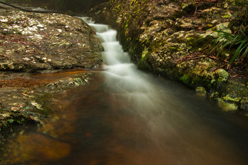 Goomoolahra creek at Springbrook National Park in Queensland.