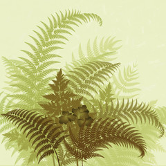 The background image entwined fern leaves.