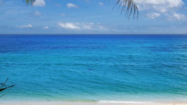 Tilt up of amazing tropical scenery in UHD