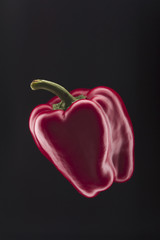Red bell pepper on black background