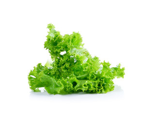 Obraz premium Fresh green lettuce on white background