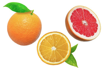 Orange and grapefruit on white background with leaves