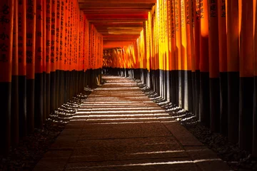 Fototapeten Senbon Torii Fushimi Inari Taisha Schrein © vanhop