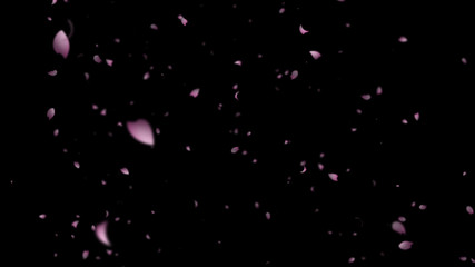 舞い散るさくら