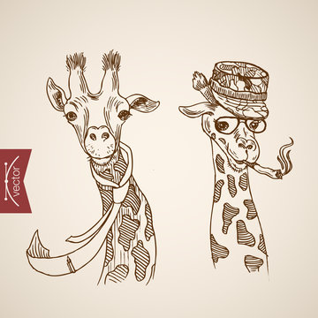 Giraffe head hipster style engraving lineart vintage vector