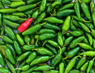 Jalapeno chillies