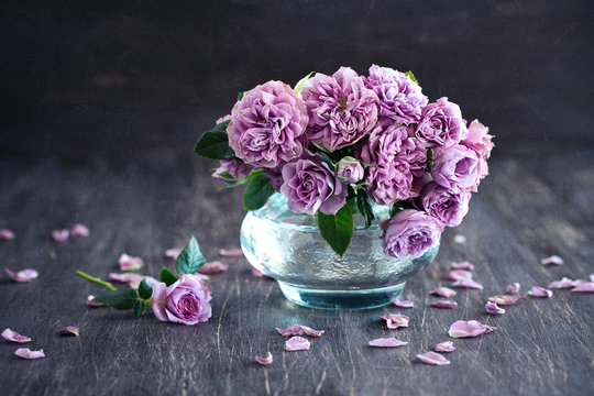 Beautiful fresh purple roses in a vase on a dark brown wooden background .
