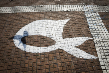The symbol of the Madres de la Plaza de Mayo Association painted in the floor with the shadow of a...