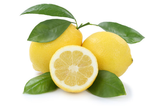 Zitrone bio Früchte Freisteller freigestellt isoliert