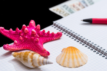 Blank open notepad with seashells, pen and dollar isolated  on black background