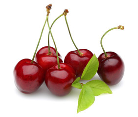 Group Cherry