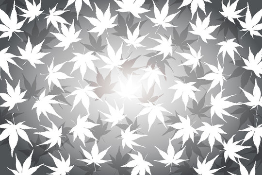36 Best 落ち葉狩り Images Stock Photos Vectors Adobe Stock 36 Best 落ち葉狩り Images Stock Photos Vectors Adobe Stock