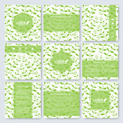 Flower set of square template brochure, cover,  layout. Background with green floral outlines. Vector illustration 