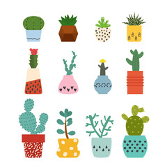 Set of succulent plants and cactuses - 107150343