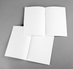 Blank catalog, brochure, magazines, book mock up