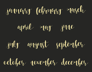 12 month names in calligraphy. Winter and summer. Spring and autumn. Time of year. Phrase in english calligraphy handmade. Stylish, modern calligraphic. Elite quote. Design brochures, posters.