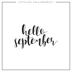 Hello september. Time of  year. Phrase in english calligraphy handmade. Stylish, modern calligraphic. Elite calligraphy. Quote. Search for design of brochures, posters web design.  The calendar.