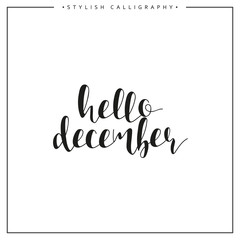 Fototapeta na wymiar Hello december. Winter. Time of year. Phrase in english calligraphy handmade. Stylish, modern calligraphic. Elite calligraphy. Quote. Search for design of brochures, posters web design. The calendar.