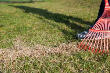 raking the grass / The man at the raking grass in the garden at springtime