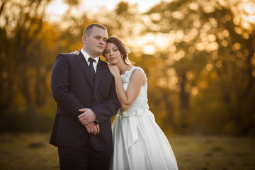  beautiful romantic luxury caucasian bride and groom on the back