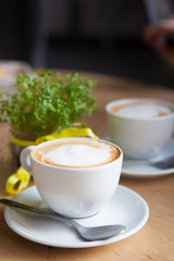 Two Cappuccino and geren plant on the background