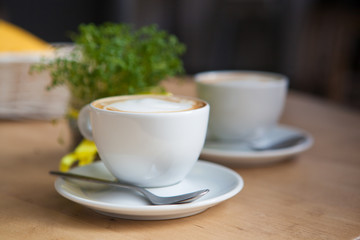 Two Cappuccino and geren plant on the background