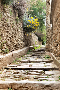 Fototapeta Fototapeta Aleja z kamiennymi schodami w korsykańskiej wiosce ścienna