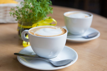 Two Cappuccino and geren plant on the background