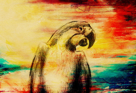  pencil deawing parrot on old paper, vintage paper and old structure.
