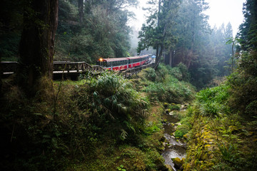 Alishan forest railway