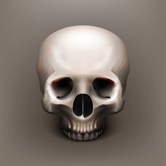 Obraz premium Vector illustration realistic skull. Human anatomy. EPS 10