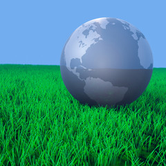Fototapeta na wymiar Globe on a grass. Earth day card or background