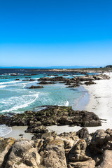 Fototapeta na wymiar Monterey sand beach, California 
