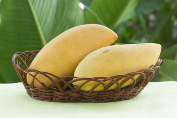 mango in basket