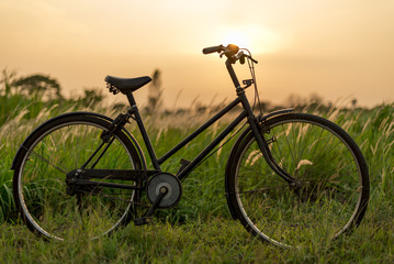 Obraz na płótnie Canvas Beautiful Green Grass Wild Flowers and Vintage Bicycle at Sunset