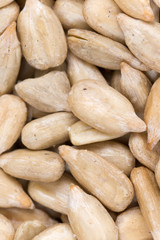 Sunflower seeds background macro photography