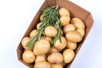 Rosemary and Potatoes in a box on isolated white background