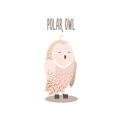 Polar Owl Vector Illustration