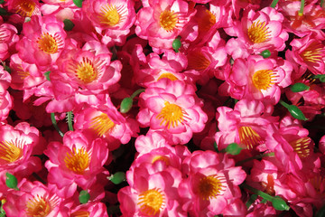 Pink tree artificial flowers laying under the tree