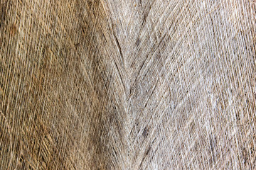 bark the petiole dry bract or old leaf coconut