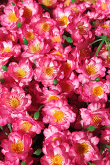 Pink tree artificial flowers laying under the tree