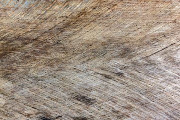 bark the petiole dry bract or old leaf coconut