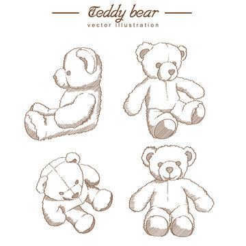 Teddy bear drawing - Stock Illustration [50443636] - PIXTA-saigonsouth.com.vn