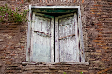 Old window shutter